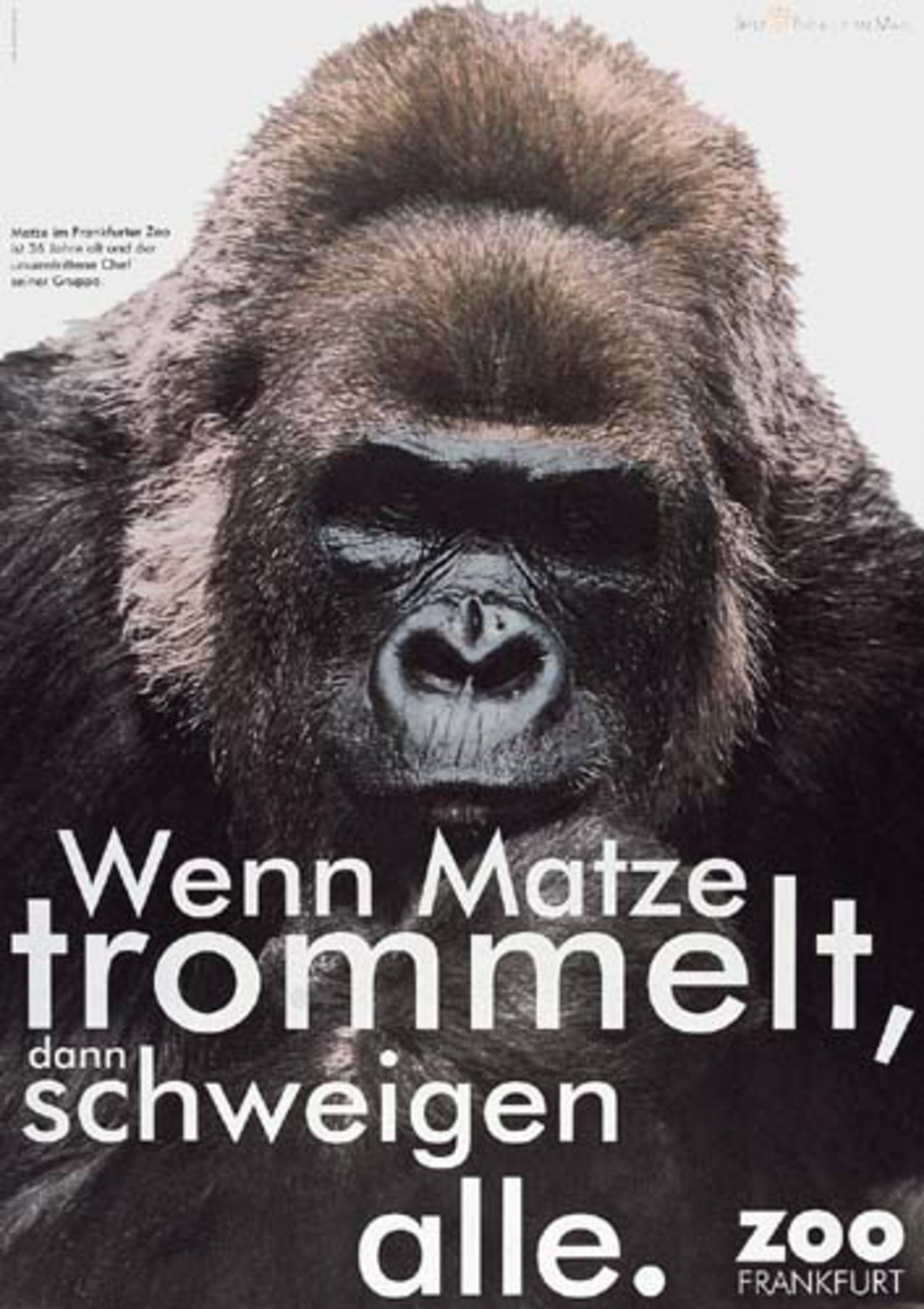 When Matze starts beating his chest everyone shuts up. Poster campaign for the Frankfurt zoo.
