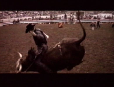 Wrangler