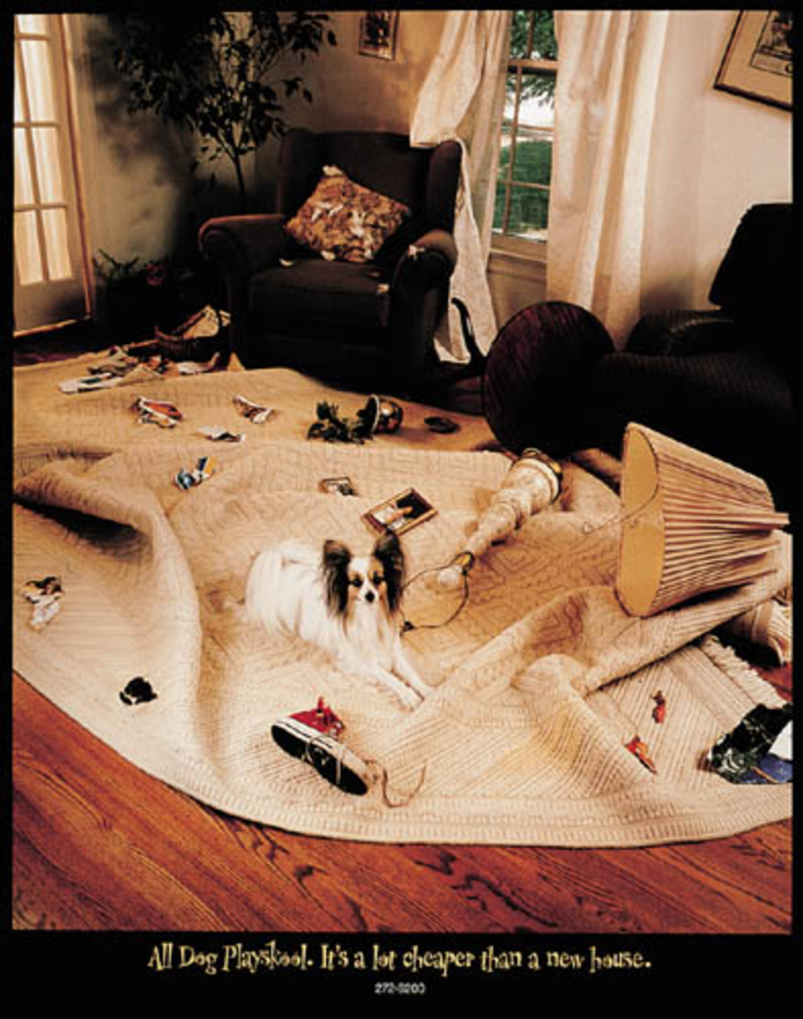 All Dogs Playschool