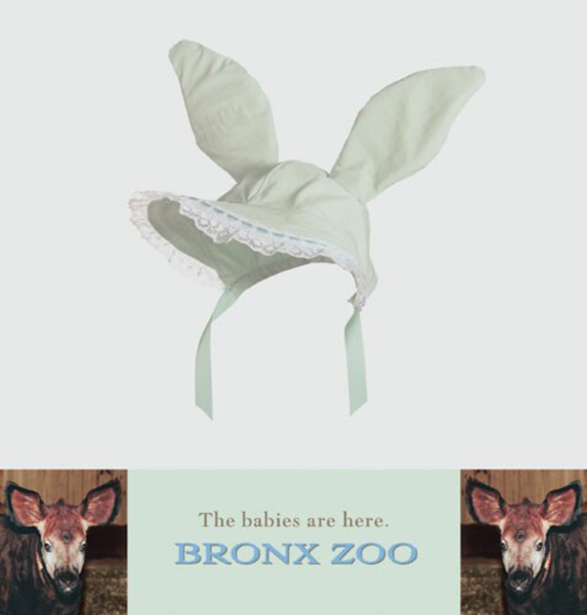 Bronx Zoo