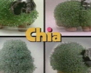Discovery Channel