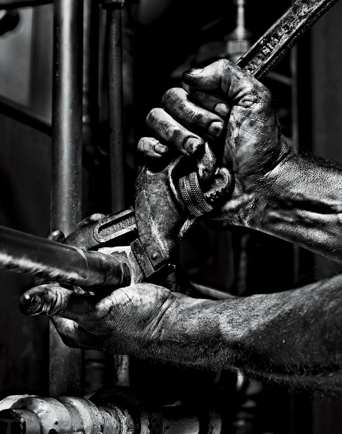 WD40