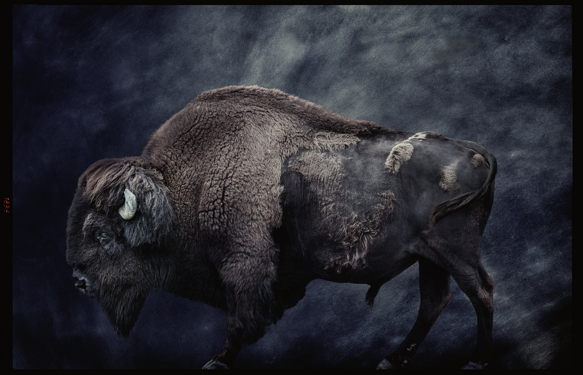 Dirk Karsten Photography, Amsterdam