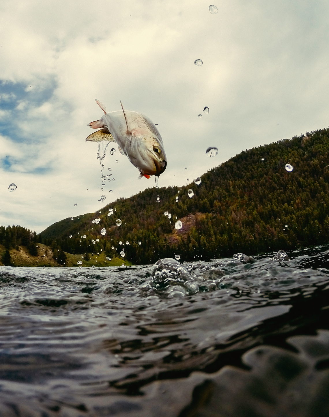 Simms Fishing