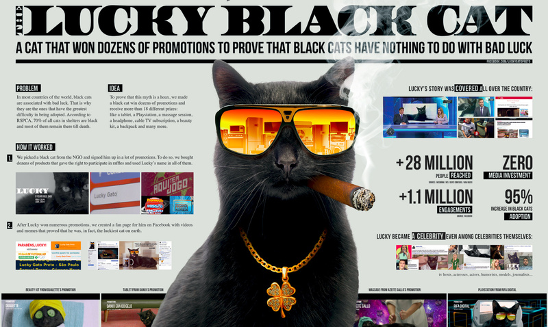 The Lucky Black Cat