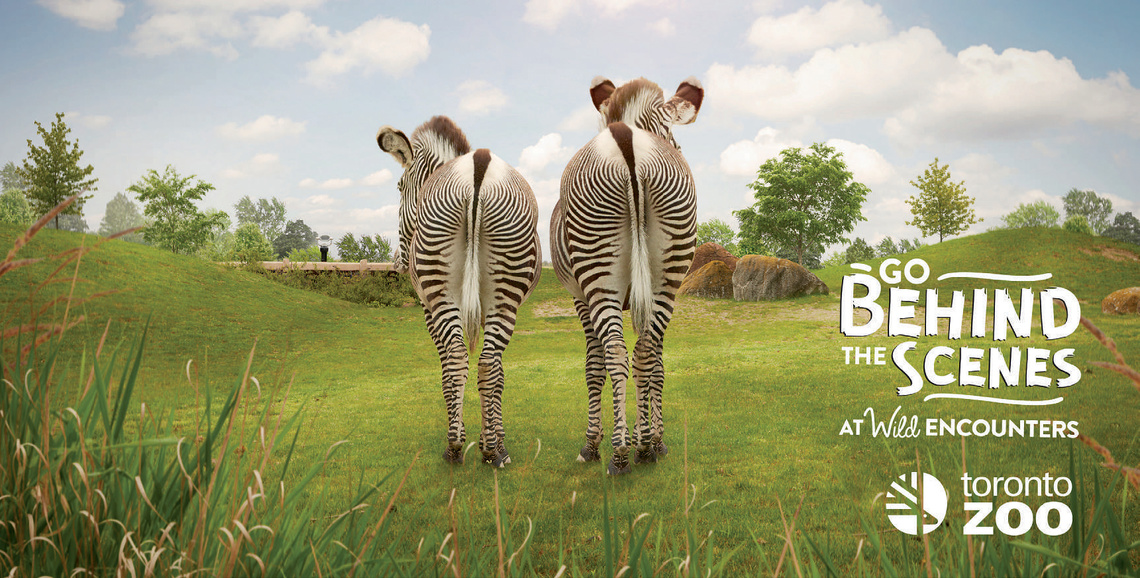 View Toronto Zoo Ad By Grey Toronto, James Ansley Lürzer's Archive