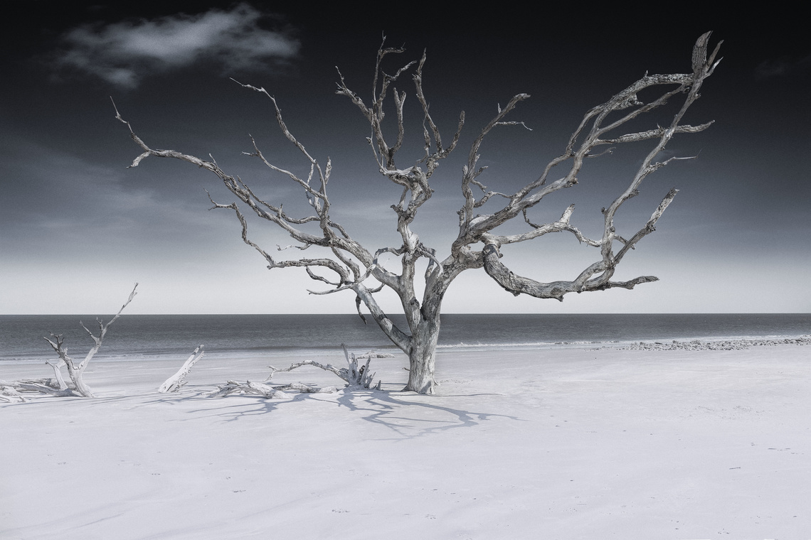 Dirk Karsten Photography, Amsterdam