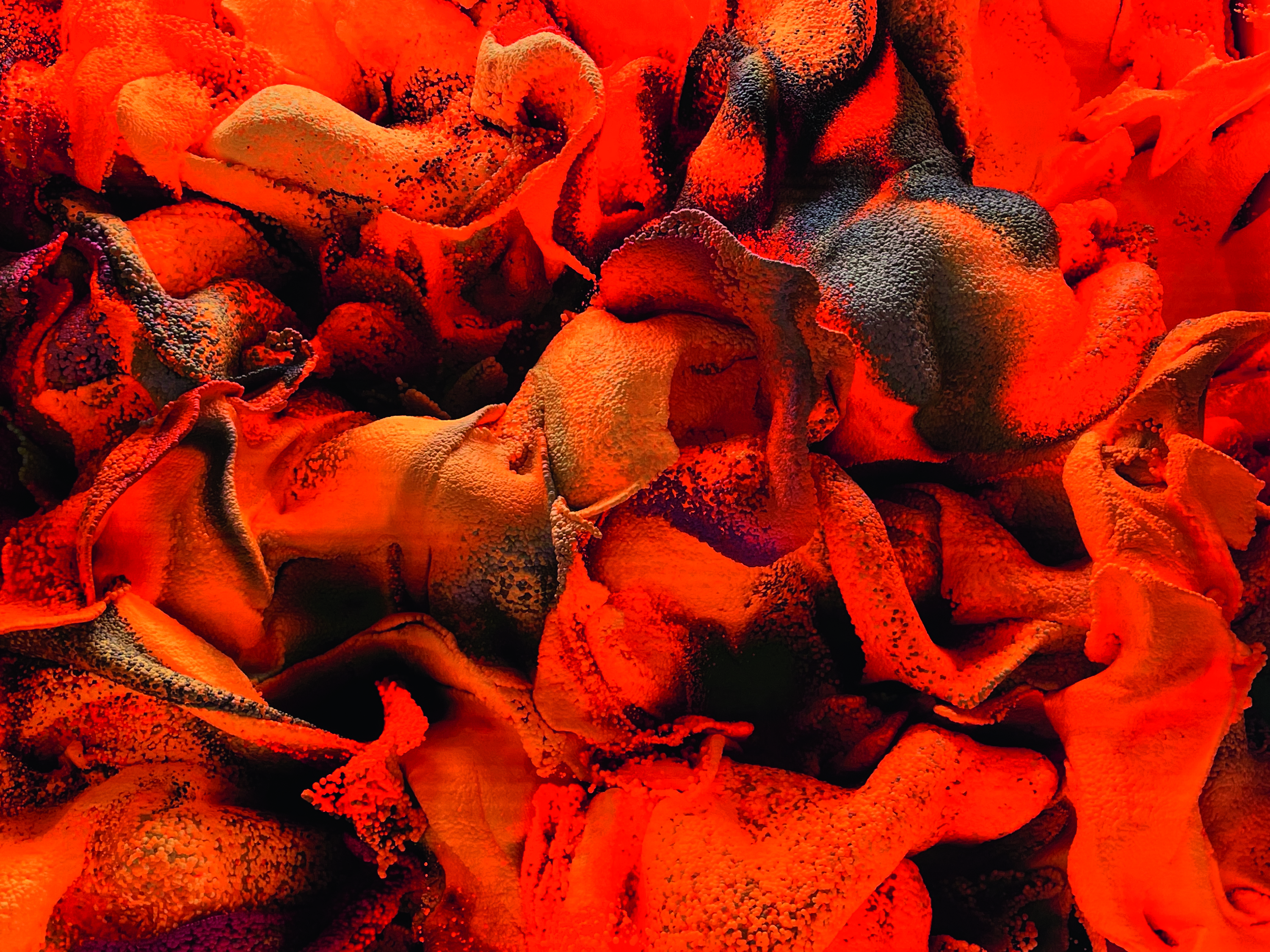 A close up of Refik Anadol's 'Unsupervised', an AI artwork